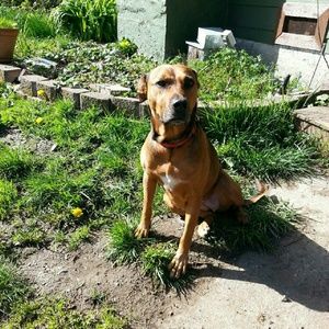 Meet your Posher, Jodi