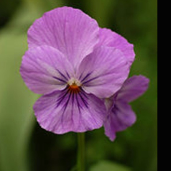 Great items just in time for WINTER ❄️☃️❄️ - Picture 6 of 8