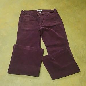 Old navy purple cords