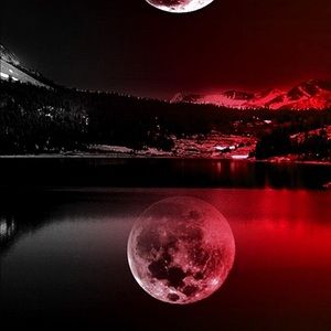 Meet your Posher, Bryan