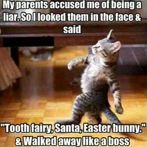 Meet your Posher, Sean