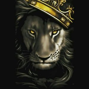 Meet your Posher, Tyree