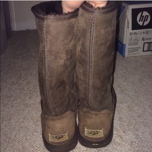 Chocolate Brown Uggs