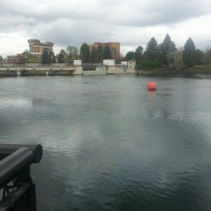 Meet your Posher, Bryan