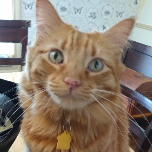 Accepting 99% of offers!! Try me! - Picture 5 of 5