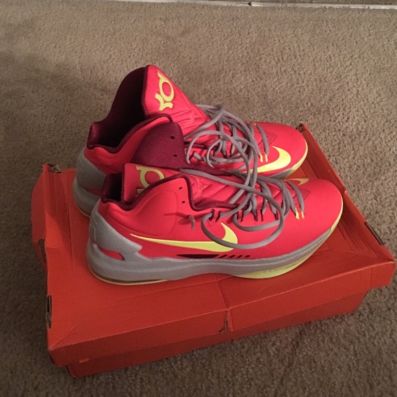KD V - Picture 3 of 4
