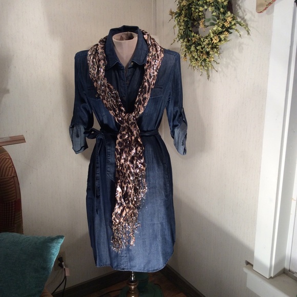 Banana Republic Chambray Shirt dress