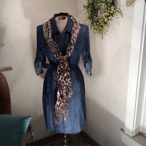 Banana Republic Chambray Shirt dress