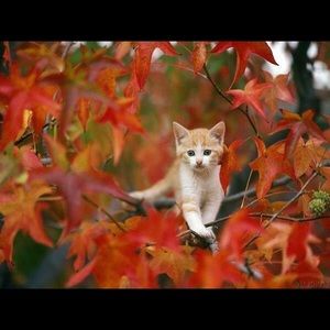 Meet your Posher, Jodie