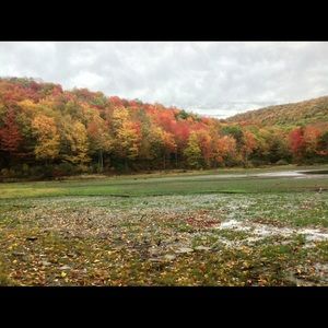 Meet your Posher, Roberta
