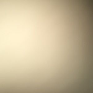 Meet your Posher, Danya