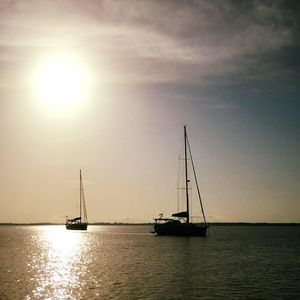 Meet your Posher, Luis