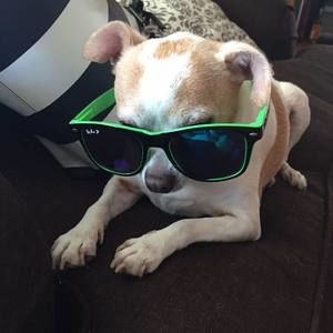 Meet your Posher, Greg