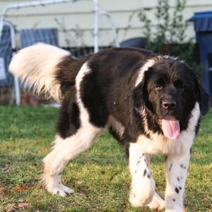 Meet your Posher, Lexi