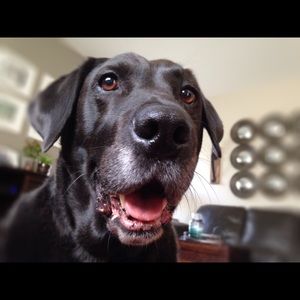 Meet your Posher, Kelly