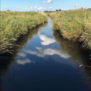 Meet your Posher, Lexi