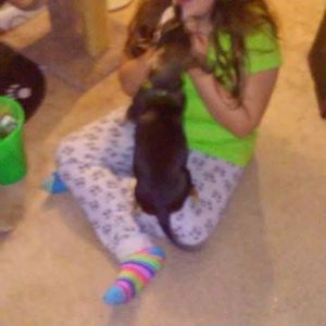 Meet your Posher, Donna