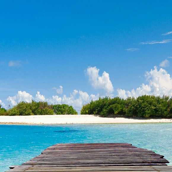 Meet your Posher, Shana - Picture 2 of 2