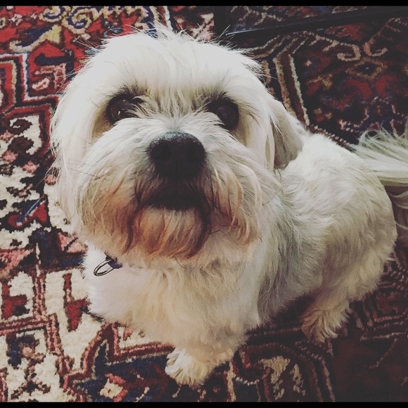 Meet your Posher, Daniel