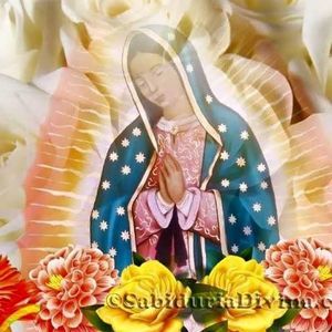 Meet your Posher, Marina