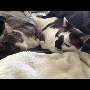 Meet your Posher, Michelle