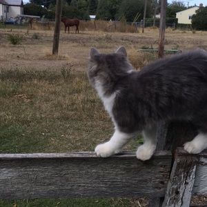 Meet your Posher, Lynne