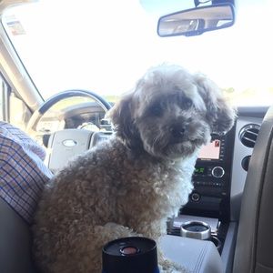 Meet your Posher, Nancy