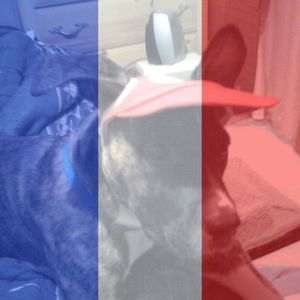 Meet your Posher, Nicholas