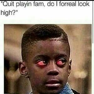 Meet your Posher, Romeo