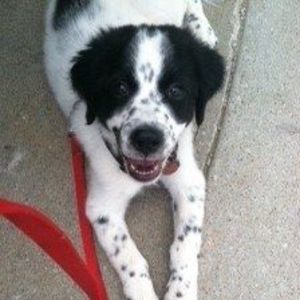 Meet your Posher, Vicki