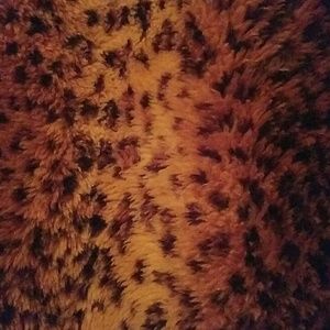 Meet your Posher, Moshe