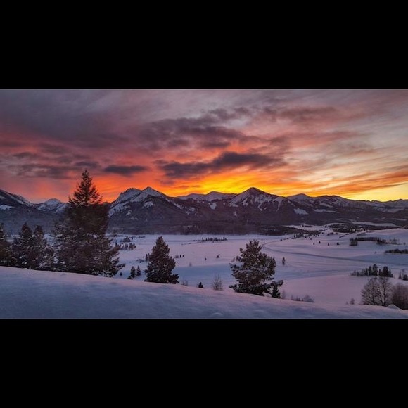 Meet your Posher, Yvonne - Picture 1 of 1