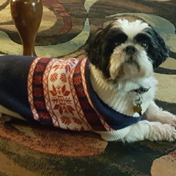 Meet your Posher, Lorena