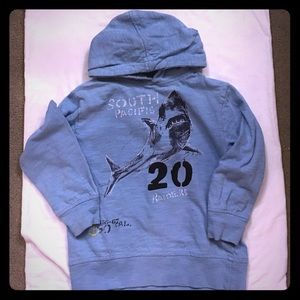 Lightweight pullover hoodie