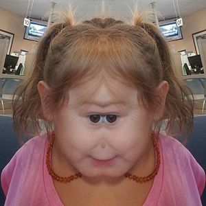 Meet your Posher, Shelby