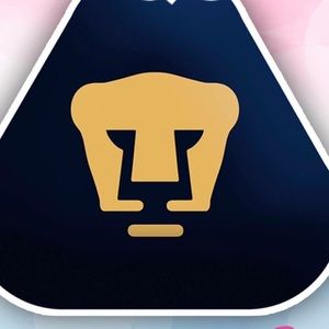 Meet your Posher, Angelica