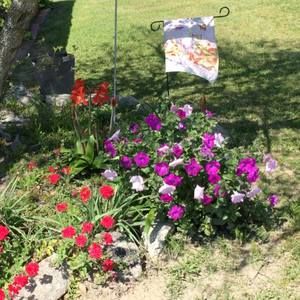 Meet your Posher, Jean