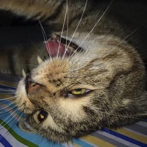 Meet your Posher, Lana