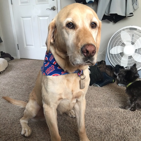 Meet your Posher, Brooke - Picture 1 of 1