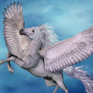 Meet your Posher, Kathryn