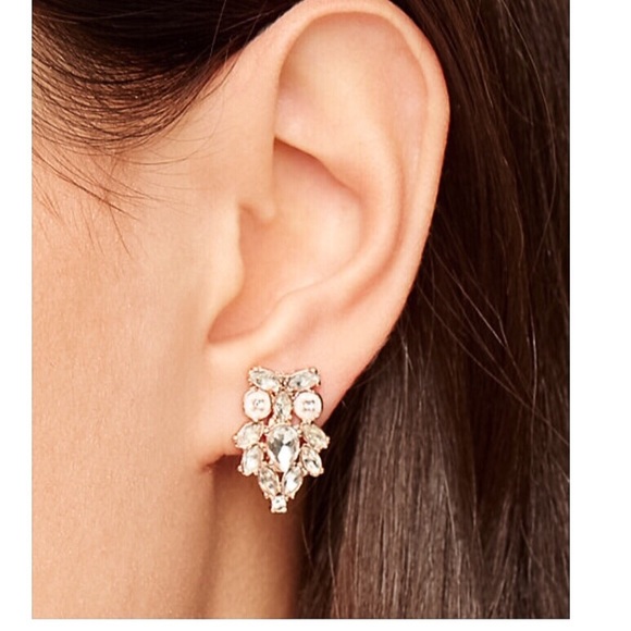 owl earrings kate spade