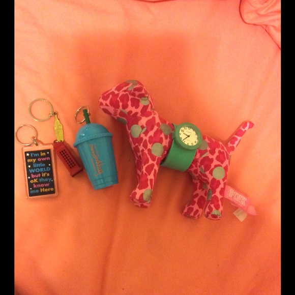 Trinket Set of 5! Key chains/Watch/PINK Dog