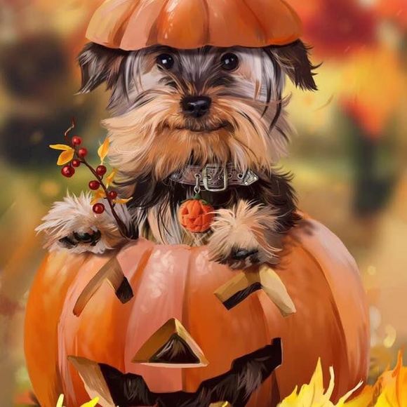 Meet your Posher, Mindy - Picture 1 of 1