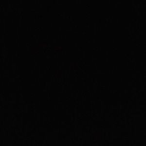 Meet your Posher, Kiki