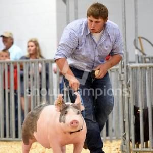 Meet your Posher, Tanner