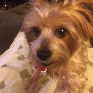 Meet your Posher, Eileen