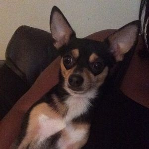 Meet your Posher, Aliyaha