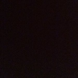 Meet your Posher, Terry