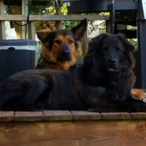 Meet your Posher, Doreen