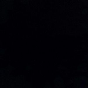 Meet your Posher, Barkley